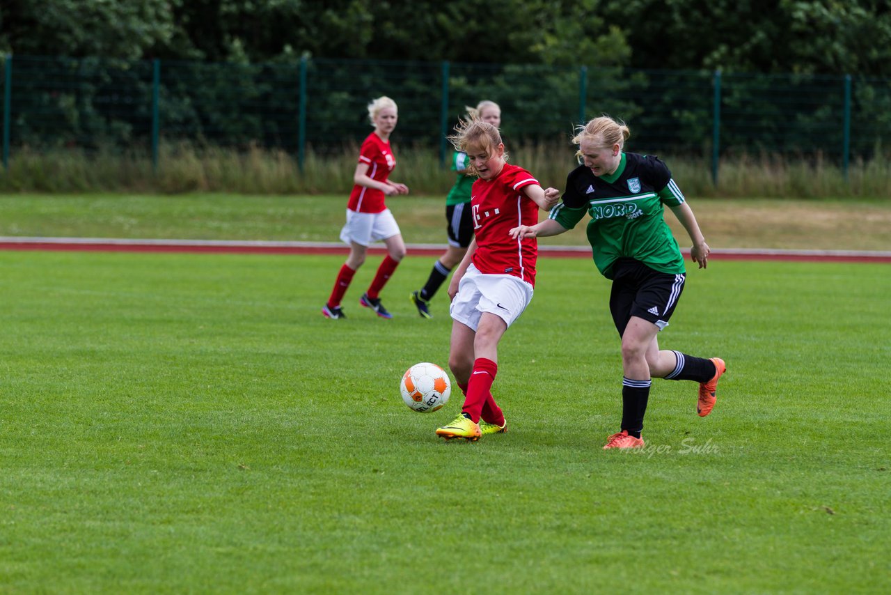 Bild 195 - C-Juniorinnen Landesmeister Finale SV Wahlstedt - TuRa Meldorf : Ergebnis: 1:4